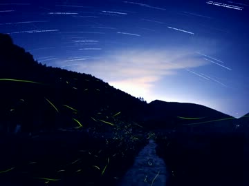 源氏蛍    　　 曲作りました☆