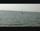 trim.Y1ey1j.MOV