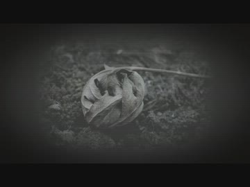 teha - return to forever