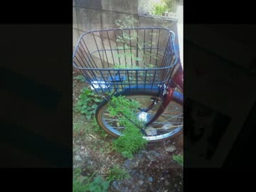 【悪魔のツイッター】世界一愛された雑草のお話２【まとめ】