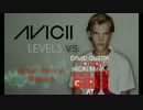 David Guetta Vs. Avicii - Where Them Girls At & Levels Mash Up
