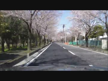 幸手周辺を走ってみた⑩　1年前のお花見