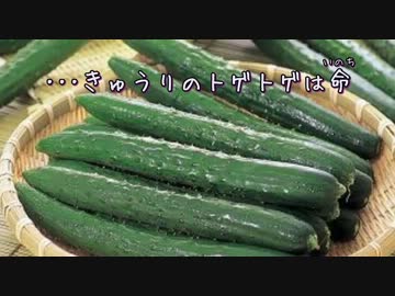 【ニコカラ】きゅうりのうた【off vocal】