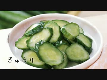 【ニコカラ】きゅうりのうた-Acoustic Ver.-【おさむらいさん】【カラオケ】