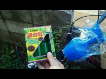 【悪魔のツイッター】世界一愛された雑草のお話３【まとめ】