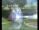 ポケモン　バトレボ　フレンド対戦10