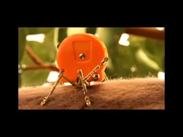 TOOL INSECTS THE METAL