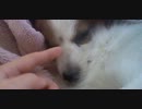 ねむいんです　№7