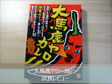 大馬鹿ヤローカレー試食レビュー