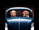 【おっさんが選ぶ】Drivin' Groove 14～80'sで行こう編
