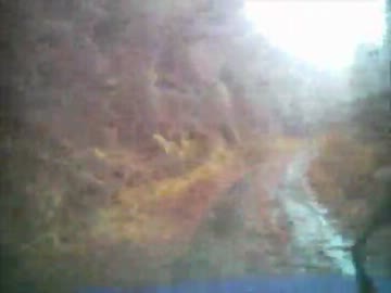 【東広島市】雨の天神嶽林道【最北端】