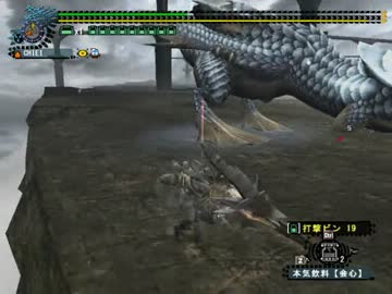 【MHF】輝輝臨臨 謎の覇種【弓】