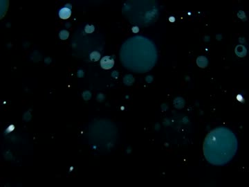 Transparent rain【NNIオリジナル曲】（Trance）/pan