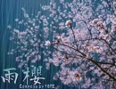 雨桜【オリジナル曲】