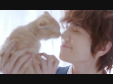 和訳歌詞付き ♬ INFINITE ★ Man In Love (K-POP/MV)