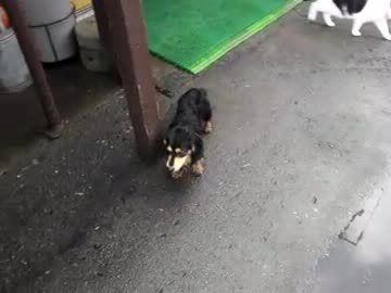 modaoの日本一周　part21