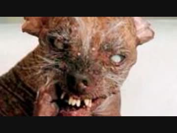 絶対にぐぐってはいけない言葉を怖くないように実況するお78