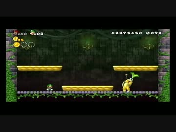 【2人】New スーパーマリオブラザーズWii【実況】Part16