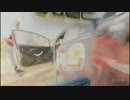 WRC世界ラリー選手権2013 第03戦 メキシコ 3/4