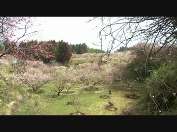 【グンマー】　上毛カルタの地へ タンデムツーリング【な】