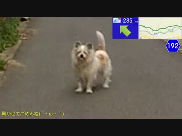 【バイク車載】ドコモ地図ナビと針TRSに行こう 前編