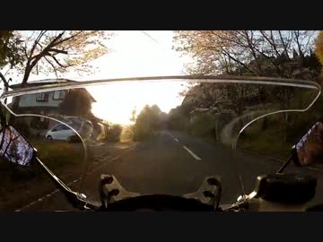 タイヤを新調したので夕方だけど農道走って桜見に行ってきた！