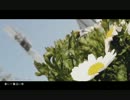 【koto】春に一番近い街【黒】