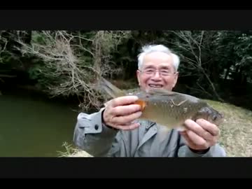 おじいちゃんとフナ釣りに行ってきました。