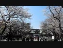 靖國神社 桜
