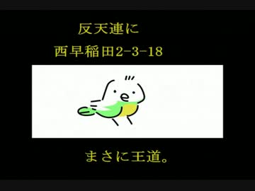 安田君み～っけ♪動画『桜井誠の闇を追いかけて』に対抗しました。