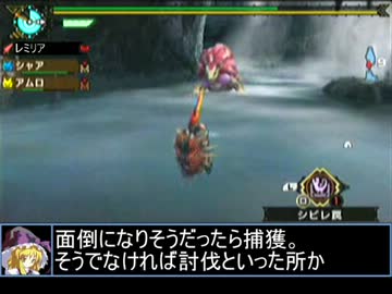 【東方】誘われてユクモ村　上位ロアルドロス亜種戦２【ＭＨ】