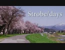 【IA】Strobe/days【オリジナル曲】