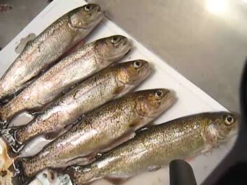 ニジマス釣った、焼いた、食った。