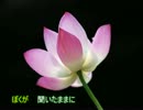 【ニコニコインディーズ】　ニコカラ　【ニコカラ】