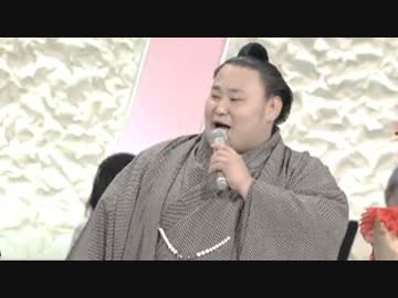 相撲ハレーション