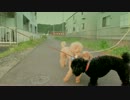 モコちゃん散歩してみたｗ