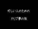 忙しい人のためのカリブ夢の旅