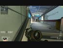 【BO2】botでエイム練習【PC】