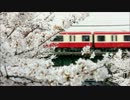 満開の桜の中を行く2100形快特