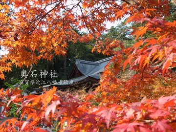 【高画質】古社の風景 ～近江 奥石神社～