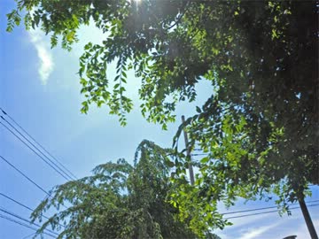 【春ニカ祭2013】In my old school【Piano, Electronica】