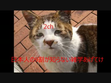 【2ch】 日本人の9割が知らない雑学あげてけ