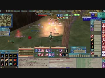 【MoE：P鯖war】集団戦つめあわせ2