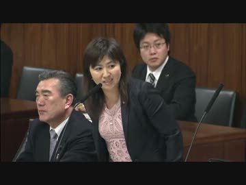 H25/3/25 参議院総務委員会・亀井亜紀子