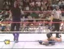 UnderTaker vs Stonecold RAW 1996 part2