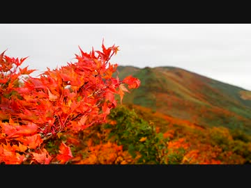 日本百名山に登ってみた81-2/3　朝日連峰(大朝日岳)編