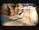 【実況】膝の悪い男がskate3を実況プレイ Part.14