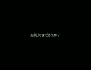 【EXVS】 バグ動画 【ハゲの邪魔】