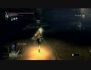 【定時制どうでしょう】デモンズソウル実況　１１夜【嵐２】