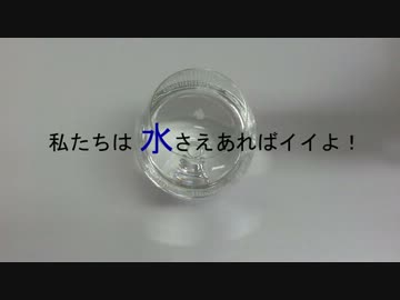 不思議な 化学反応